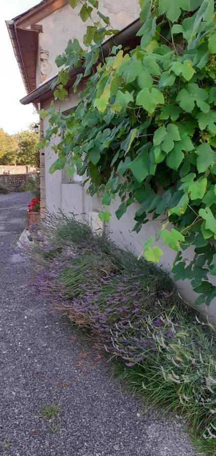 Gite Les Petits Chemins Ledeuix Exteriör bild