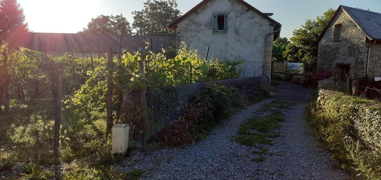 Gite Les Petits Chemins Ledeuix Exteriör bild