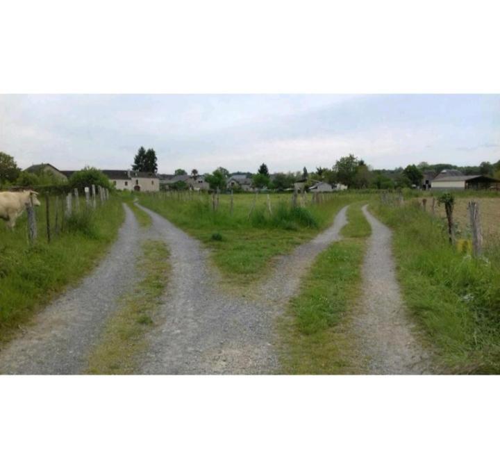 Gite Les Petits Chemins Ledeuix Exteriör bild