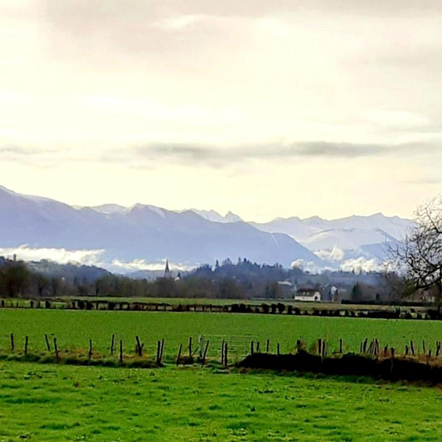 Gite Les Petits Chemins Ledeuix Exteriör bild
